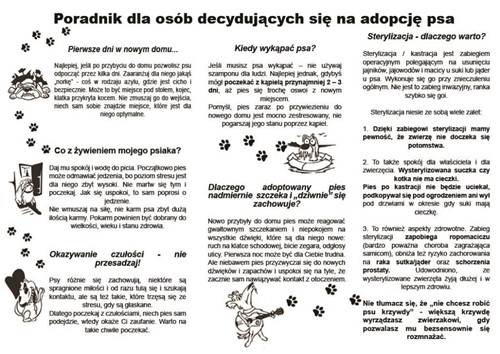 Poradnik